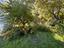 Immagine 22