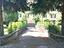 Immagine 19