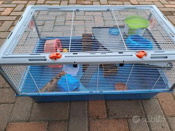 gabbia criceto 