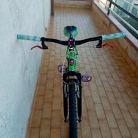 bicicletta 24