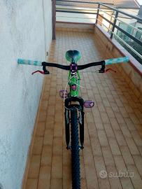 bicicletta 24
