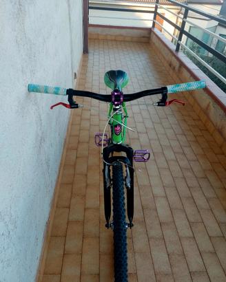 bicicletta 24