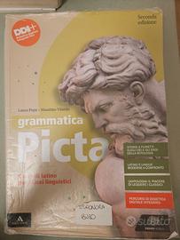 Grammatica Picta