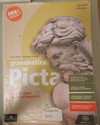 Grammatica Picta