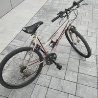 MTB bicicletta Mountain bike 26 viscontea