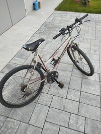 MTB bicicletta Mountain bike 26 viscontea