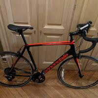 Cannondale Synapse Carbon anno 2019