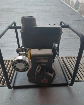 Motopompa LOWARA briggs & statton