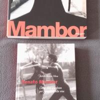 Libri monografie di pittori vari.