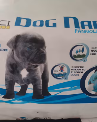 Pannolini per cani