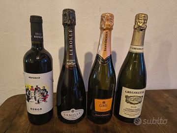 Collezione di vini