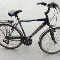 bicicletta uomo carnielli