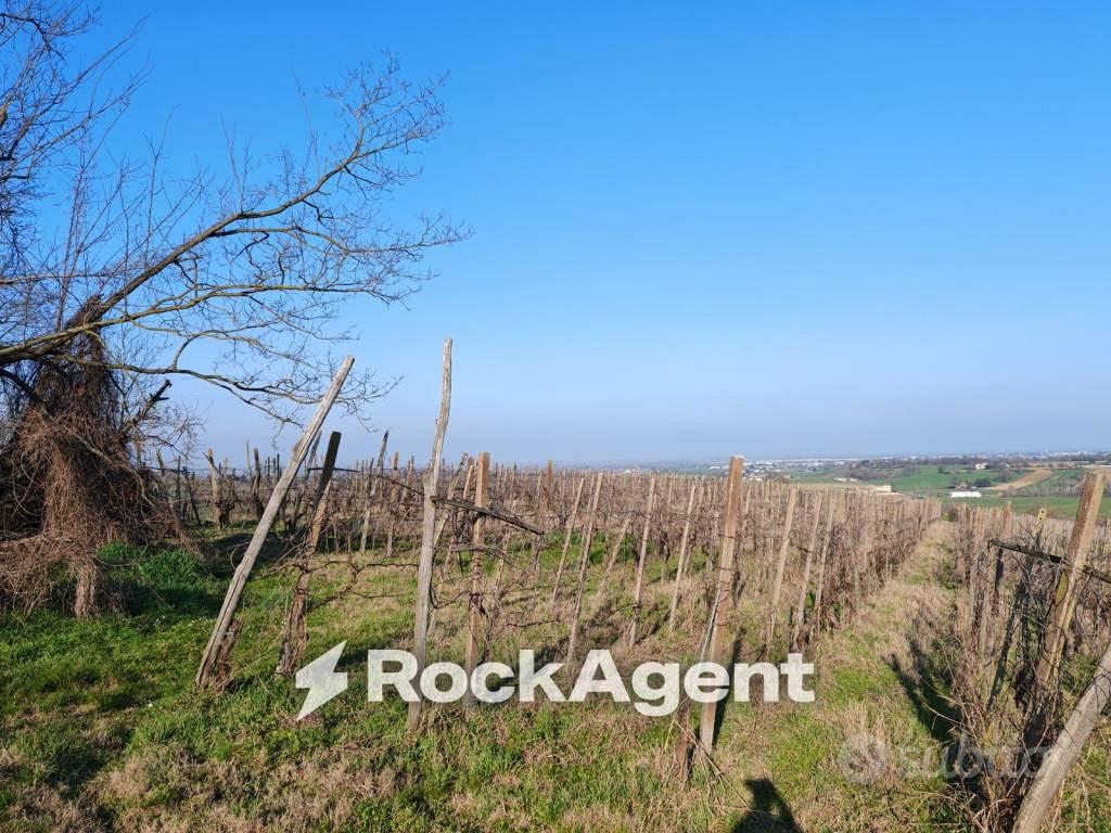 Rustico / Casale di 198 m² con 3 locali e box auto - Vista 5