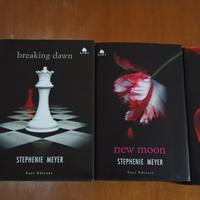 Lotto libri vampiri  Twilight saga