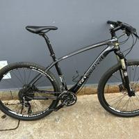 MTB CARBONIO