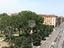 Immagine 16