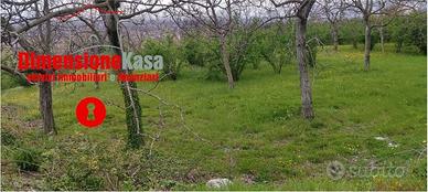 Terreno di 4000 m² a Nola