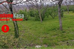 Terreno di 4000 m² a Nola