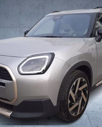 MINI Mini C Favoured Countryman Pack M