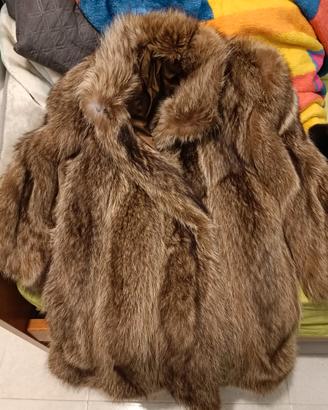 pelliccia di marmotta originale 