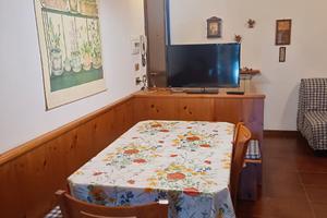 Tranquillo appartamento vicino alla pineta