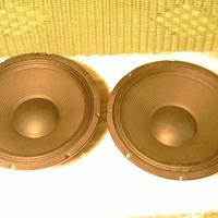 coppia di woofer 12 pollici