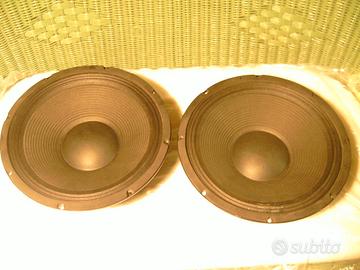 coppia di woofer 12 pollici