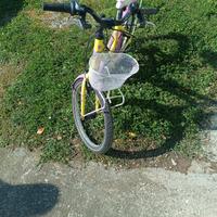 biciclette bambina ruota da 20