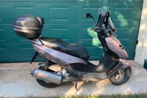 Aprilia leonardo 300