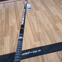 canna bolognese  venere no limits 