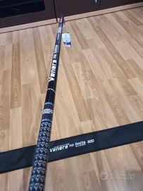 canna bolognese  venere no limits 