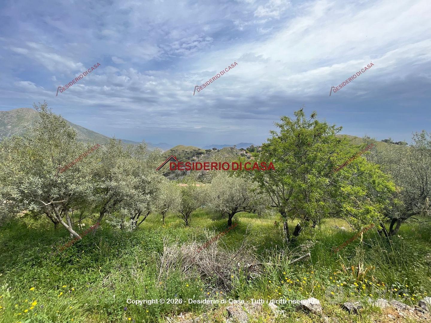 Terreno, Monreale. - Vista 5