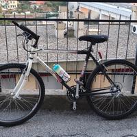 mountain-bike 
