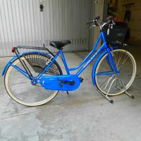 Bicicletta modello Olanda