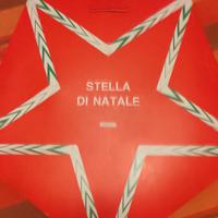 stella di natale luminosa 