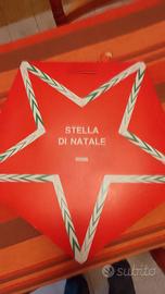 stella di natale luminosa 