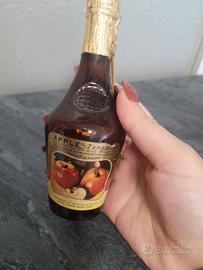 Bottiglietta vintage di vino polacco