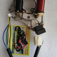 Statore e pik-up pit bike quad lem minimoto