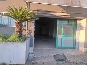 Capannone in affittó aversa sud mq 250