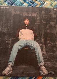 Vinile Louis tomlinson