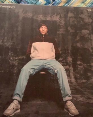 Vinile Louis tomlinson