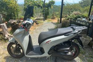 Honda sh 350
