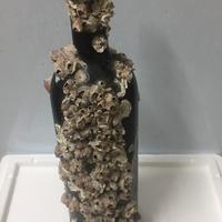 Bottiglia da vino invecchiata.