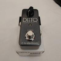 TC Electronic DITTO LOOPER