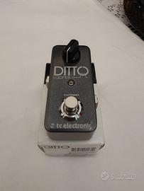 TC Electronic DITTO LOOPER