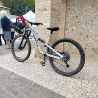 Canyon Spectral AL 5 2022