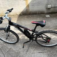 mountain bike da bambino cerchi da 24