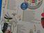 Immagine 3