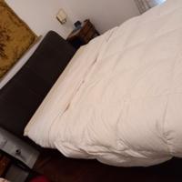 letto cuoio Roche Bobois