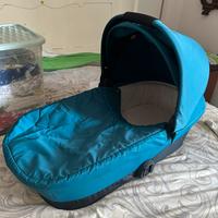 Navicella cybex melio